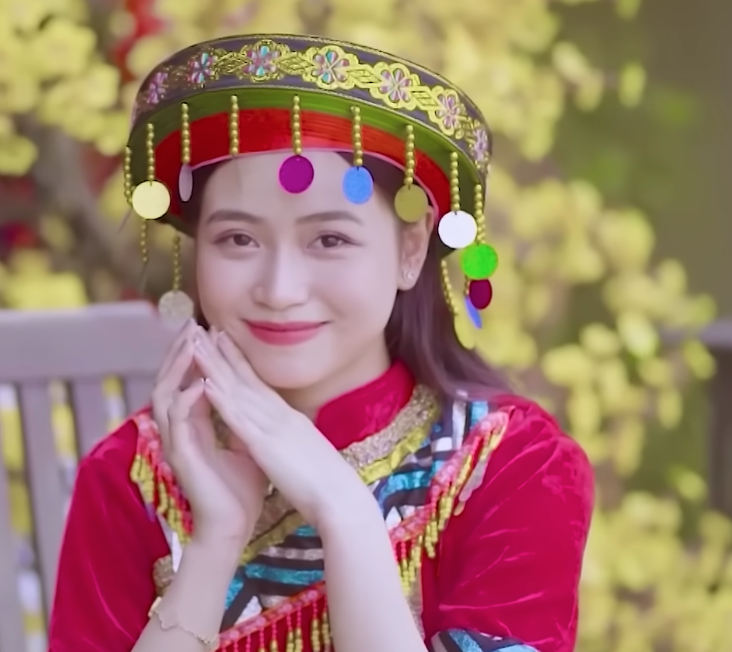 lĩnh vực hoạt động